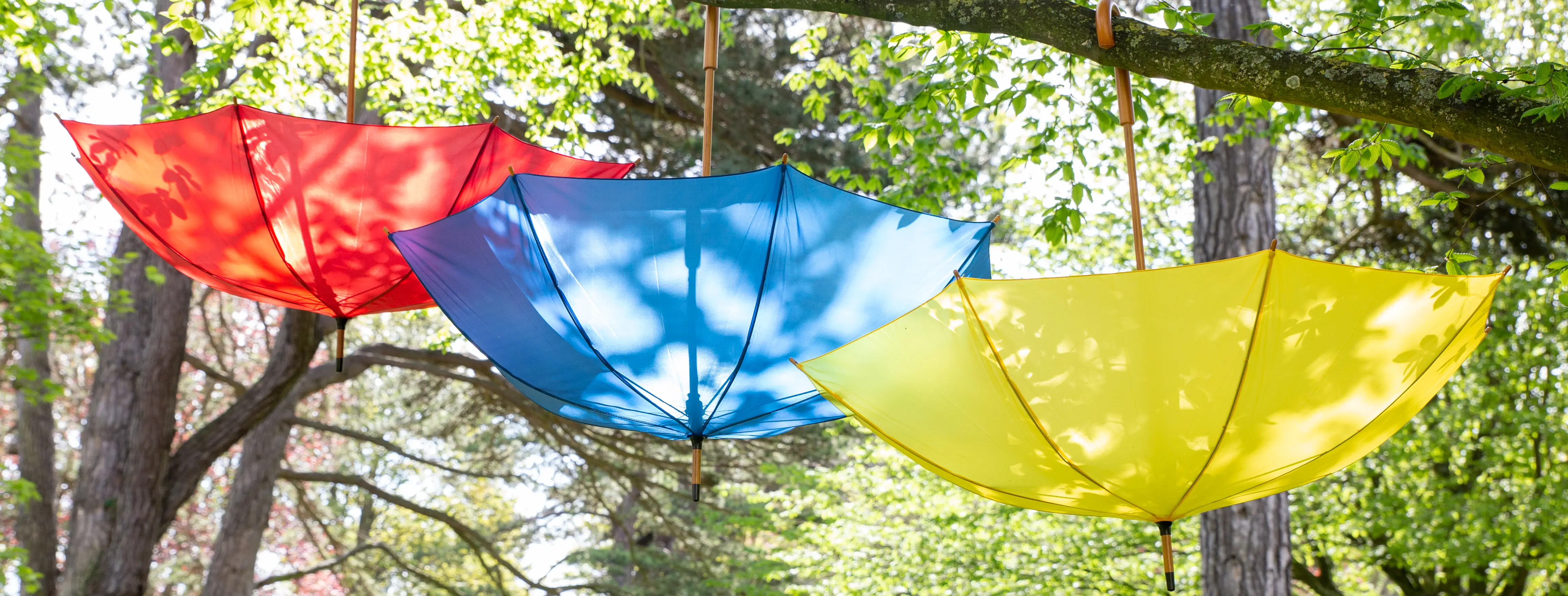 Three umbrellas, one red, one yellow and one blue, hanging upside down from a tree branch.